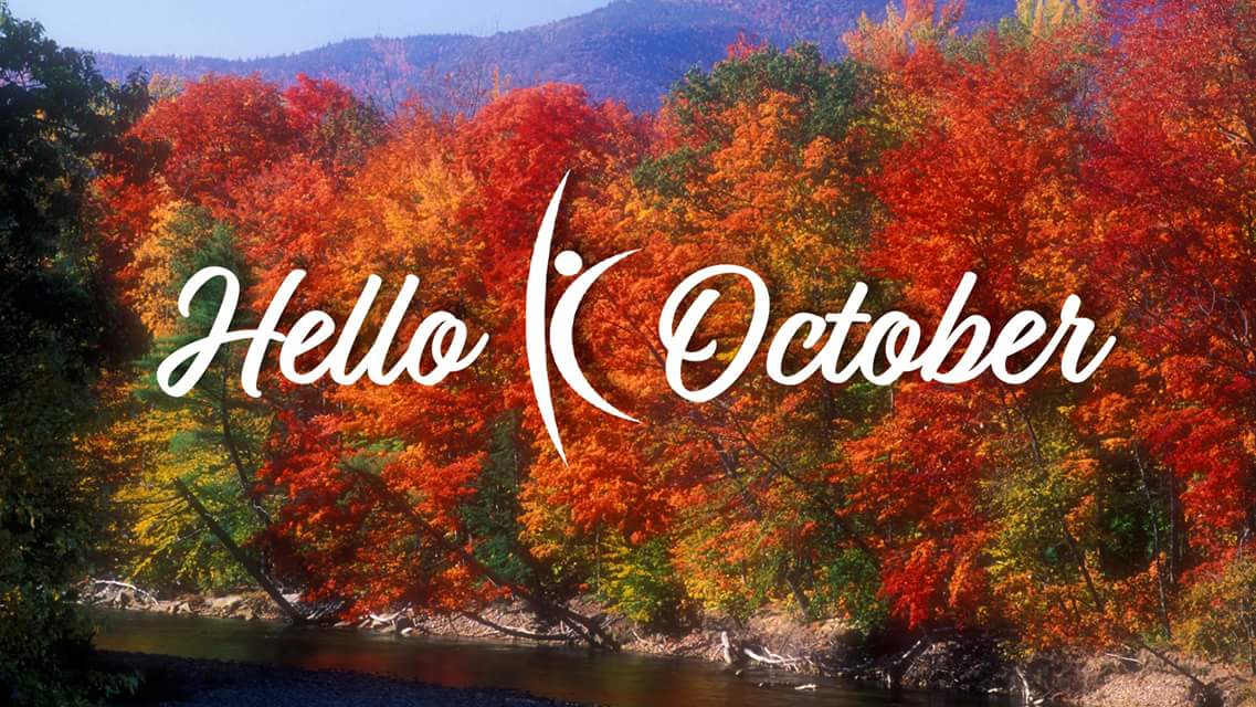 Happy new month from the team here.