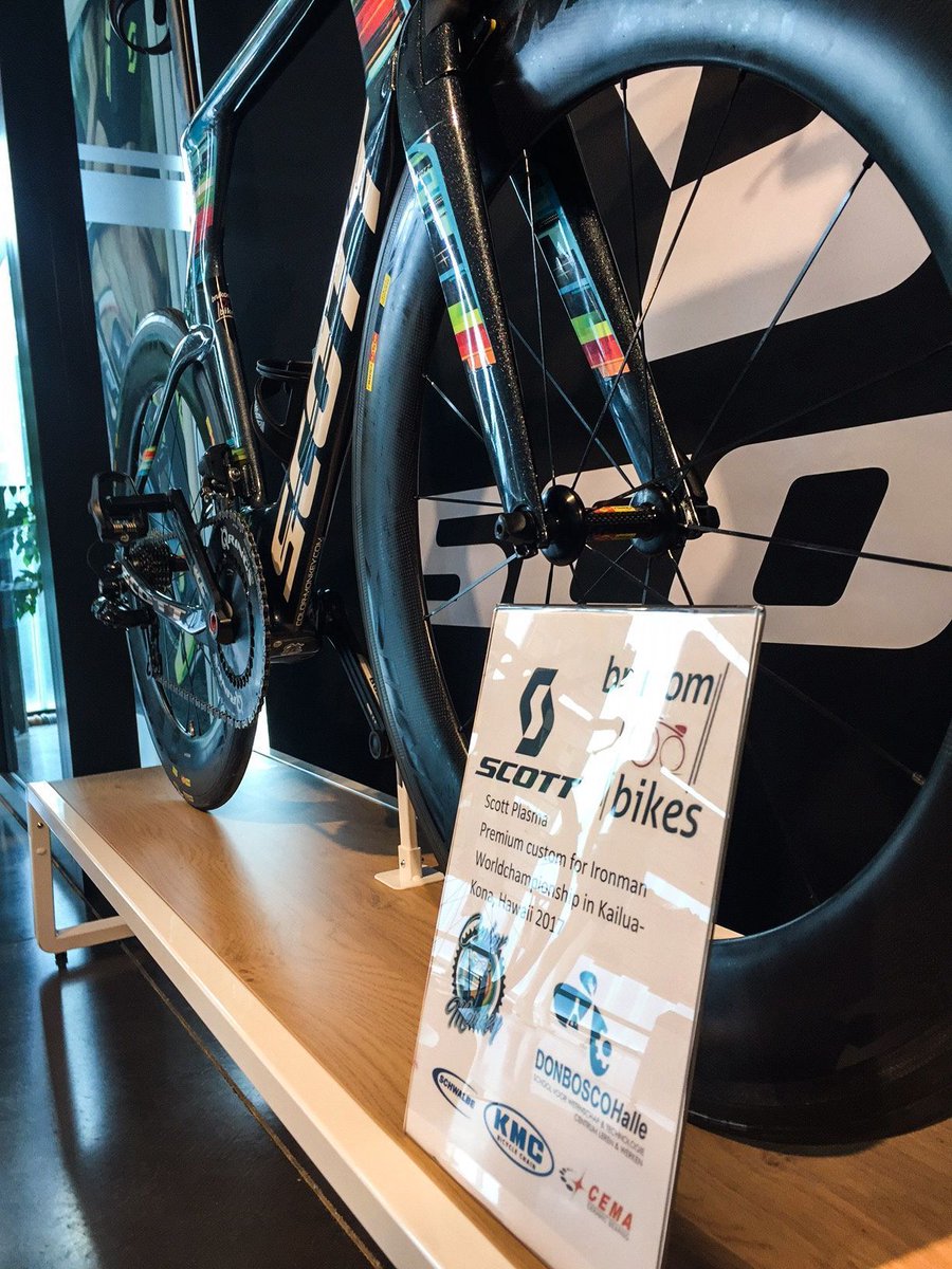 Cemabearing tweet media