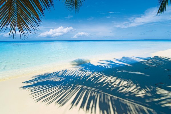 The best Christmas and New Year holidays from Glasgow Airport

airglasgow.com/the-best-chris…