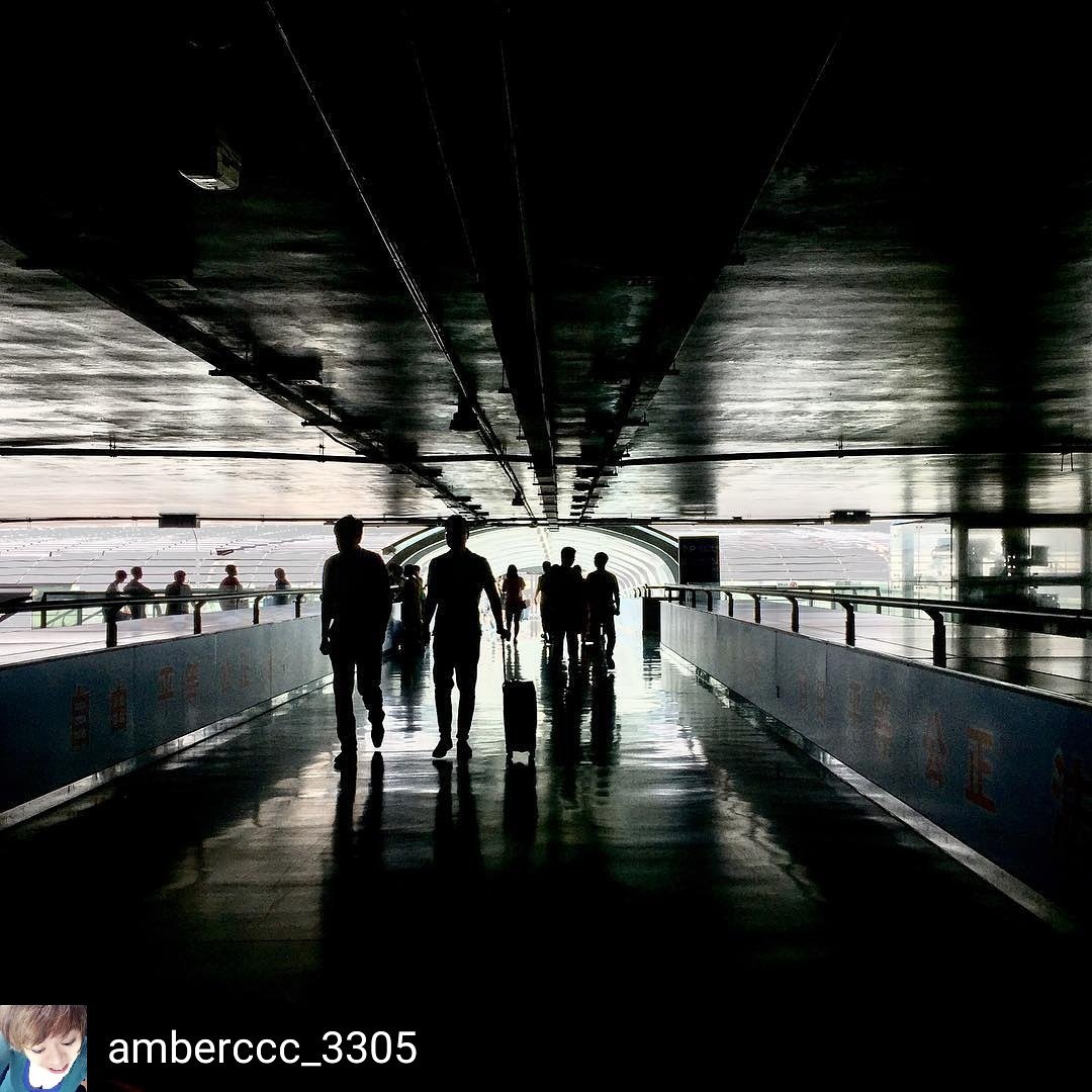 Taiwagram's tweet photo. Buenos días / 早安 (Zǎo ān)
#Taiwan
#Fotografía de Amber Chen @amberccc_3305 en instagram
#Photo https://t.co/TzzQlePu0O