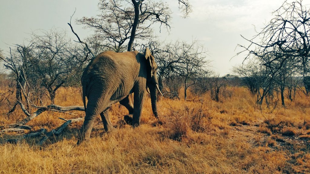 qweenink's tweet photo. Weekend with the fam @dinokengreserve https://t.co/X3uxbvUJwC