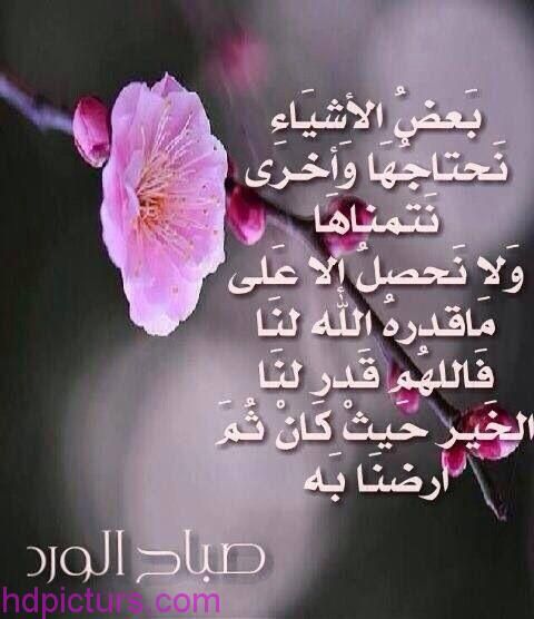 رحمة عبدالواحد (@138619rahma) on Twitter photo 