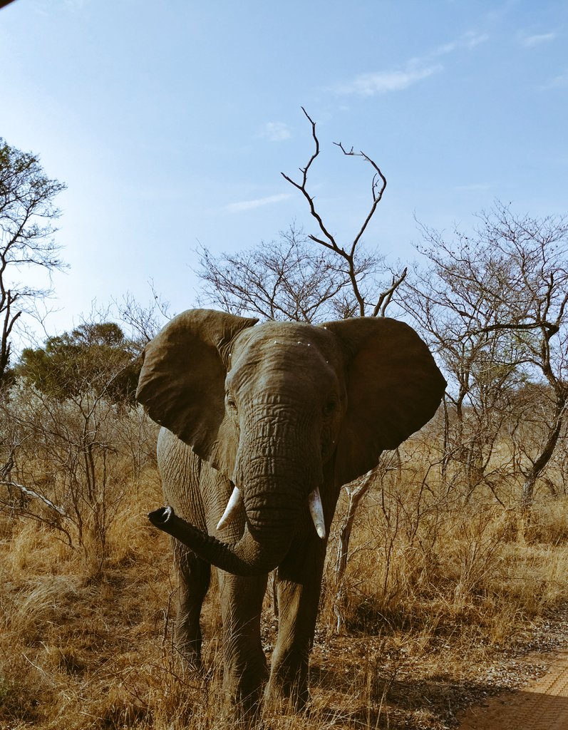 qweenink's tweet photo. Weekend with the fam @dinokengreserve https://t.co/X3uxbvUJwC