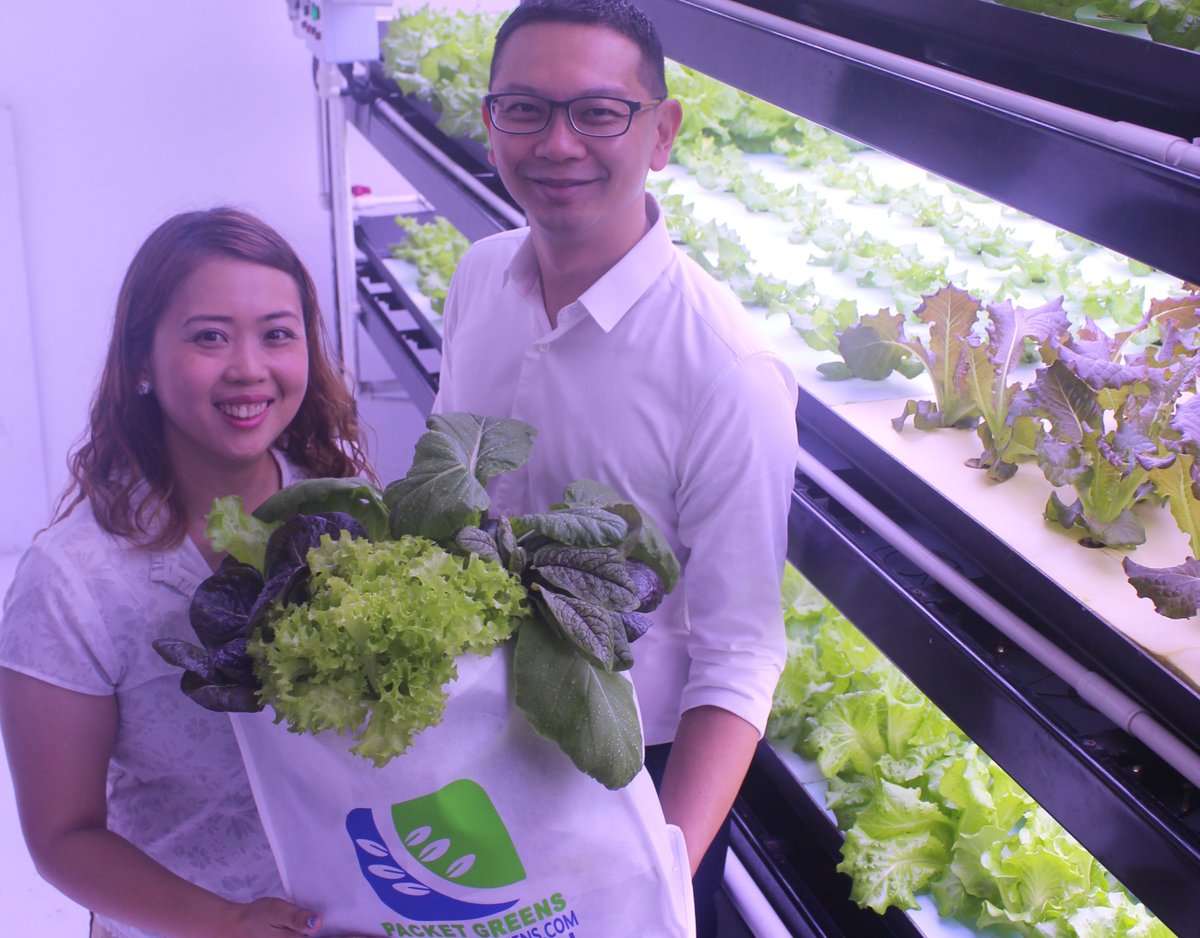 SEEDSandCHIPS's tweet photo. #UrbanFarming startup raises $1.5m to curb Singapore’s reliance on imported food 
https://t.co/LBGtkJ1cRU
#VerticalFarming #AgTech https://t.co/MHCdcVmy09
