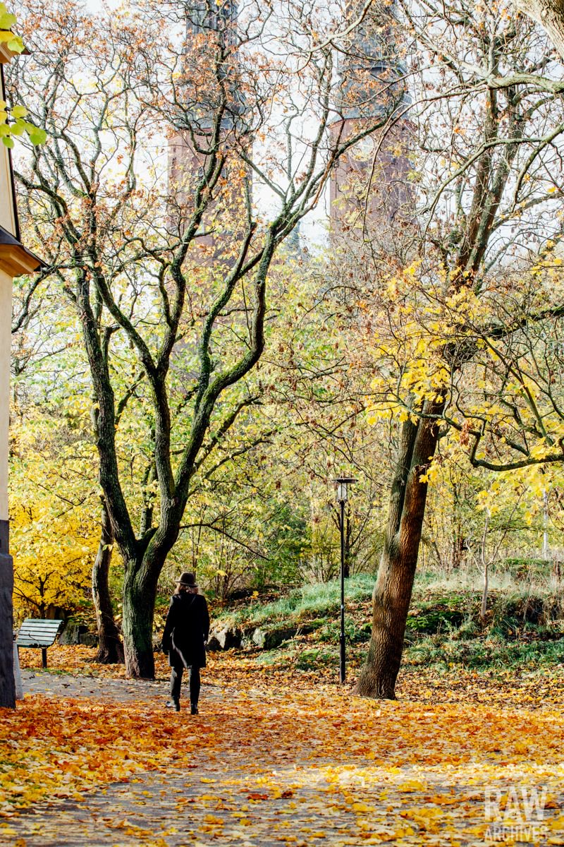 raw_archives's tweet photo. When the sun peeps through the clouds, I get reminded how beautiful autumn can be! 

#Stockholm #Högalid  #Travelphotography #Höst https://t.co/5Bth3iBjbC