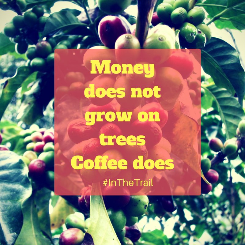 CoffeeTrailug's tweet photo. On the farm this week #InTheTrail find out as we reveal opportunities #StartUps @Nrashk @rawdneyk @DerrickEMugisha @usmissionuganda https://t.co/vw1HioDUsS