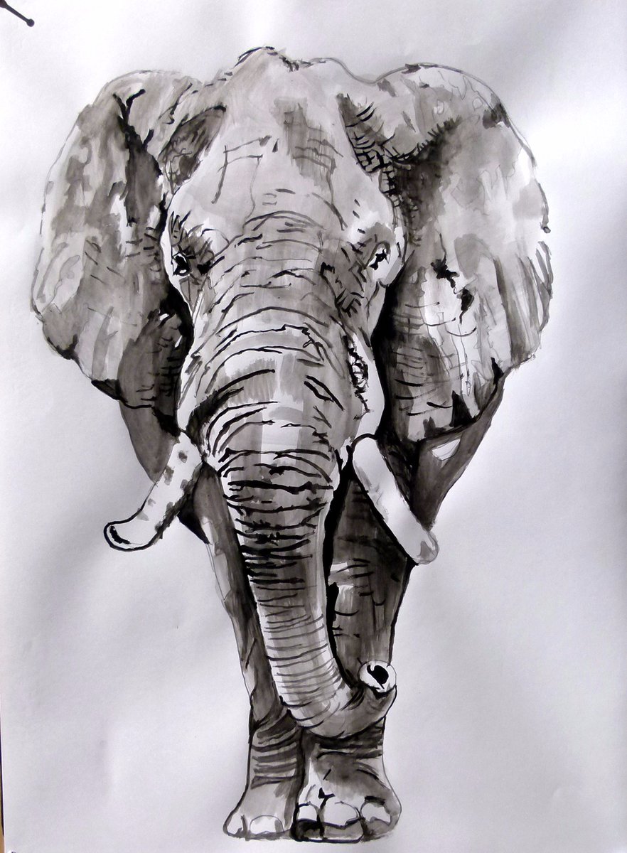 gallerykumsa's tweet photo. https://t.co/vzguJAFsNM #elephant #animals #word #paintings #forsale #onlinegallery #artforsale #cobtemporaryart #modetn #art #artwork https://t.co/1IphM70V2j