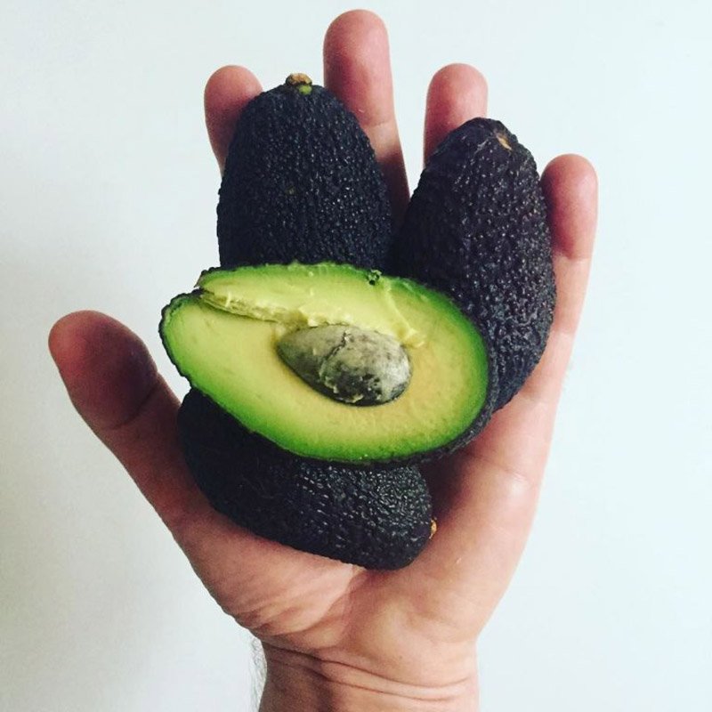 innaturale_it's tweet image. #Avocado in miniatura, nuova arma contro gli sprechi.
#tinyavocado #zillaeggs #nature #food 
Leggi l'articolo &amp;gt;&amp;gt; goo.gl/EyWU8j