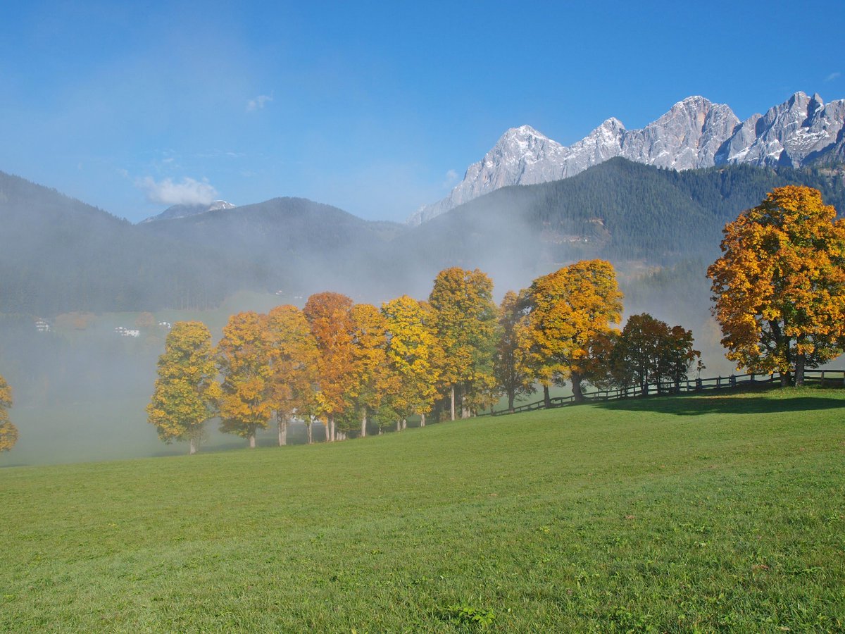 Ramsau am Dachstein tweet media