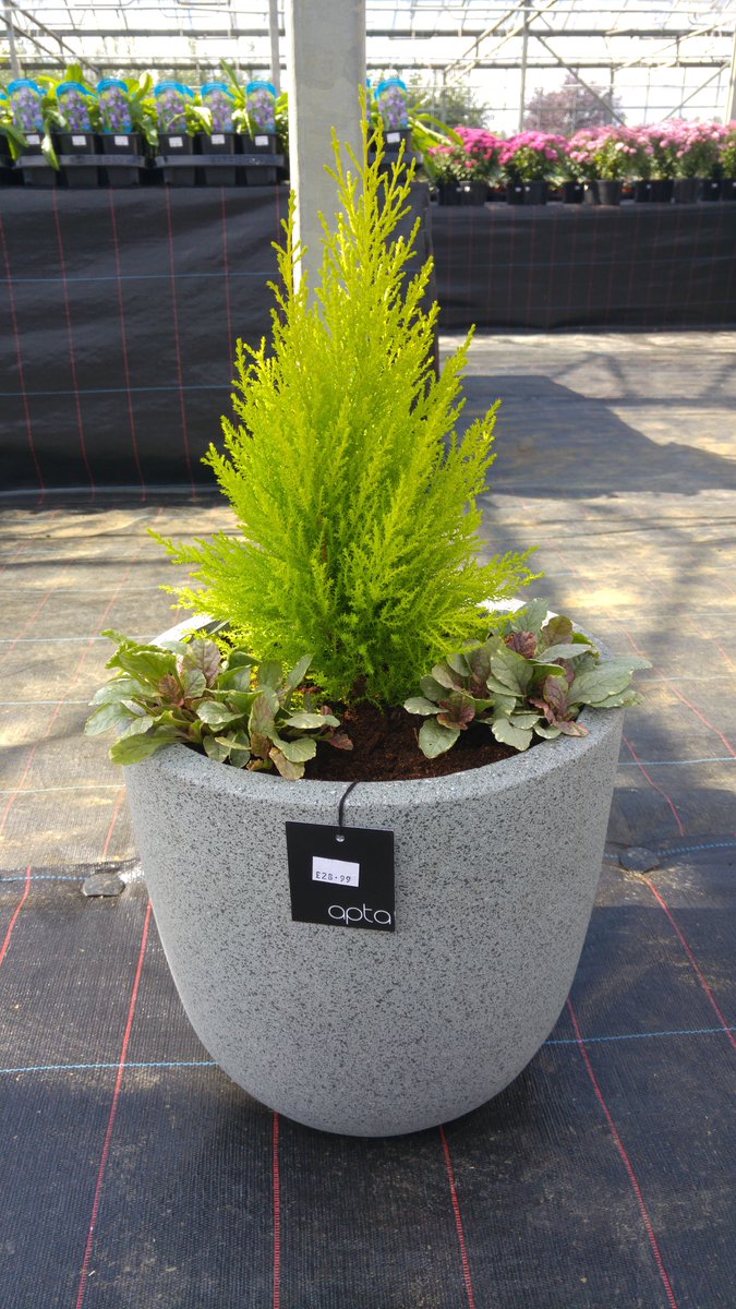 ChedburghCent's tweet photo. Our lovely pots😀😀 https://t.co/xM9Xq8seR5