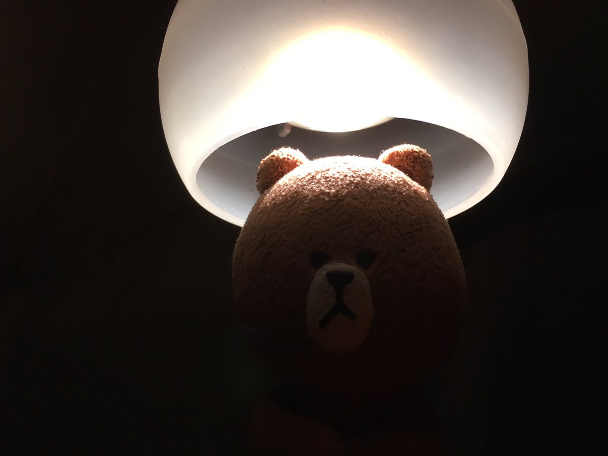 brownbeargoes's tweet photo. Brown is trying to tell a ghost story by the campfire but keeps getting interrupted by people telling him he's doing it wrong #bearsknowbest https://t.co/sDFasIoICj