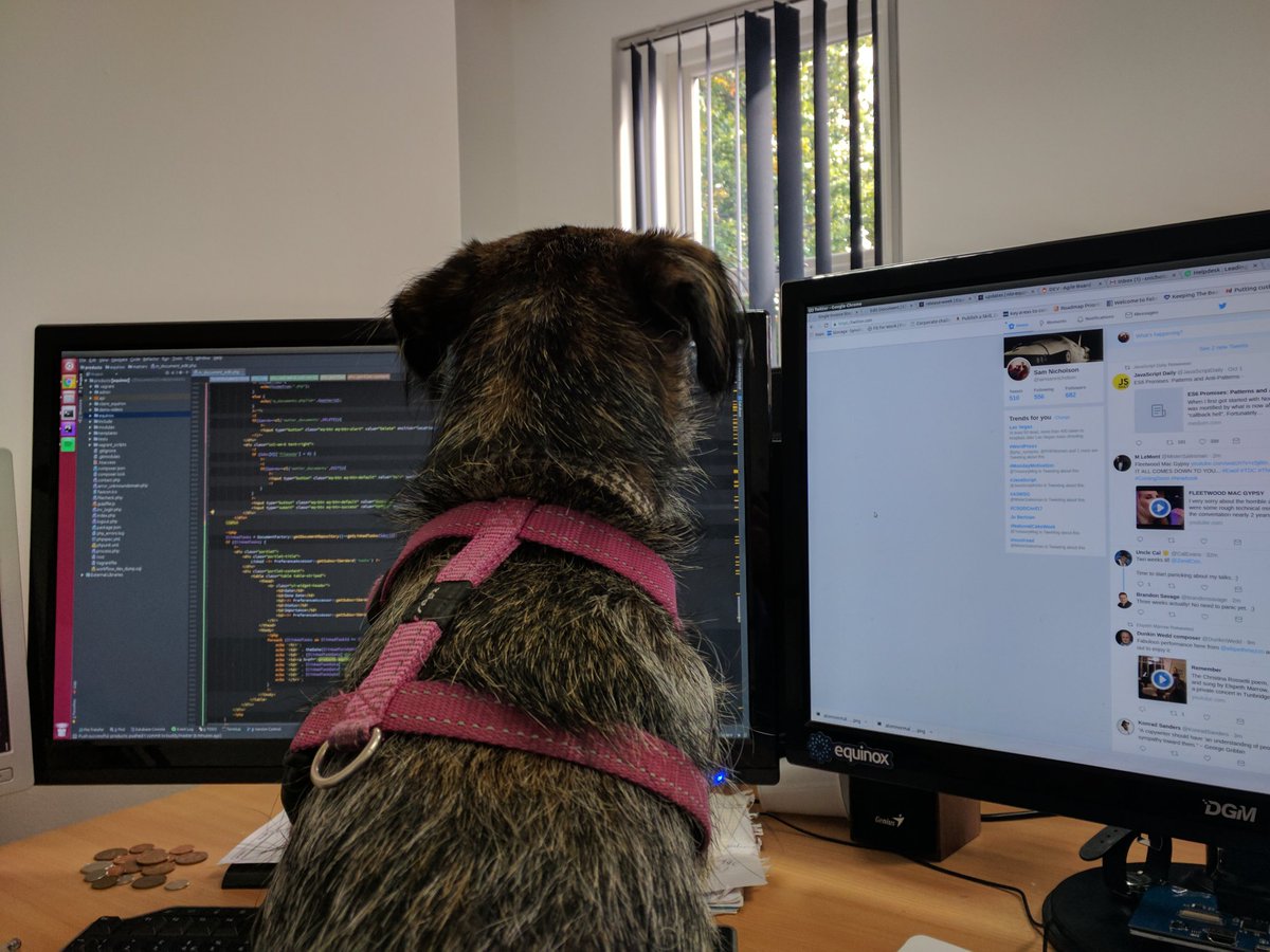 iamsamnicholson's tweet photo. My coding is the dogs bollocks today! #php #dogsoftwitter #software https://t.co/Ud2SMtsNMV