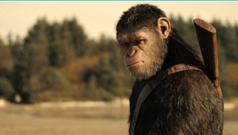 Hate overcomes compassion #warfortheplanet #apes #movies #apestogetherstrong <a href="/andyserkis/">Andy Serkis</a>