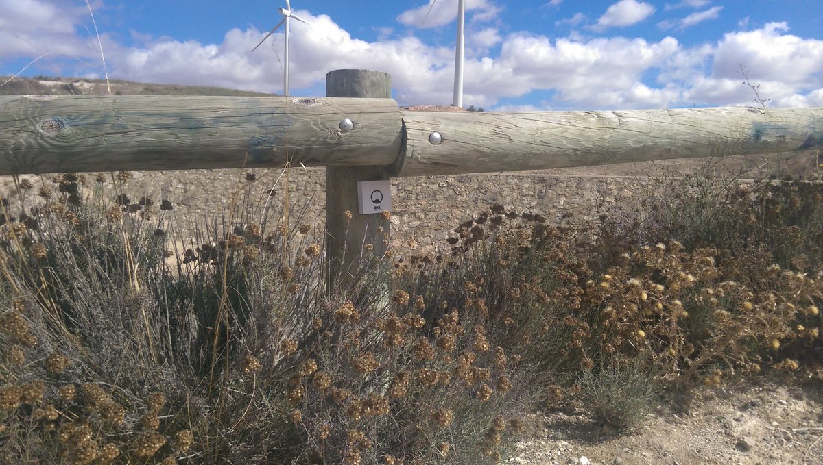 blind_explorer's tweet photo. Hoy estamos en un parque eólico en Albacete probando el nuevo sistema #Lysp de seguimiento y localización de presencias. #ESABICMadridregion https://t.co/6ul4dppLPe