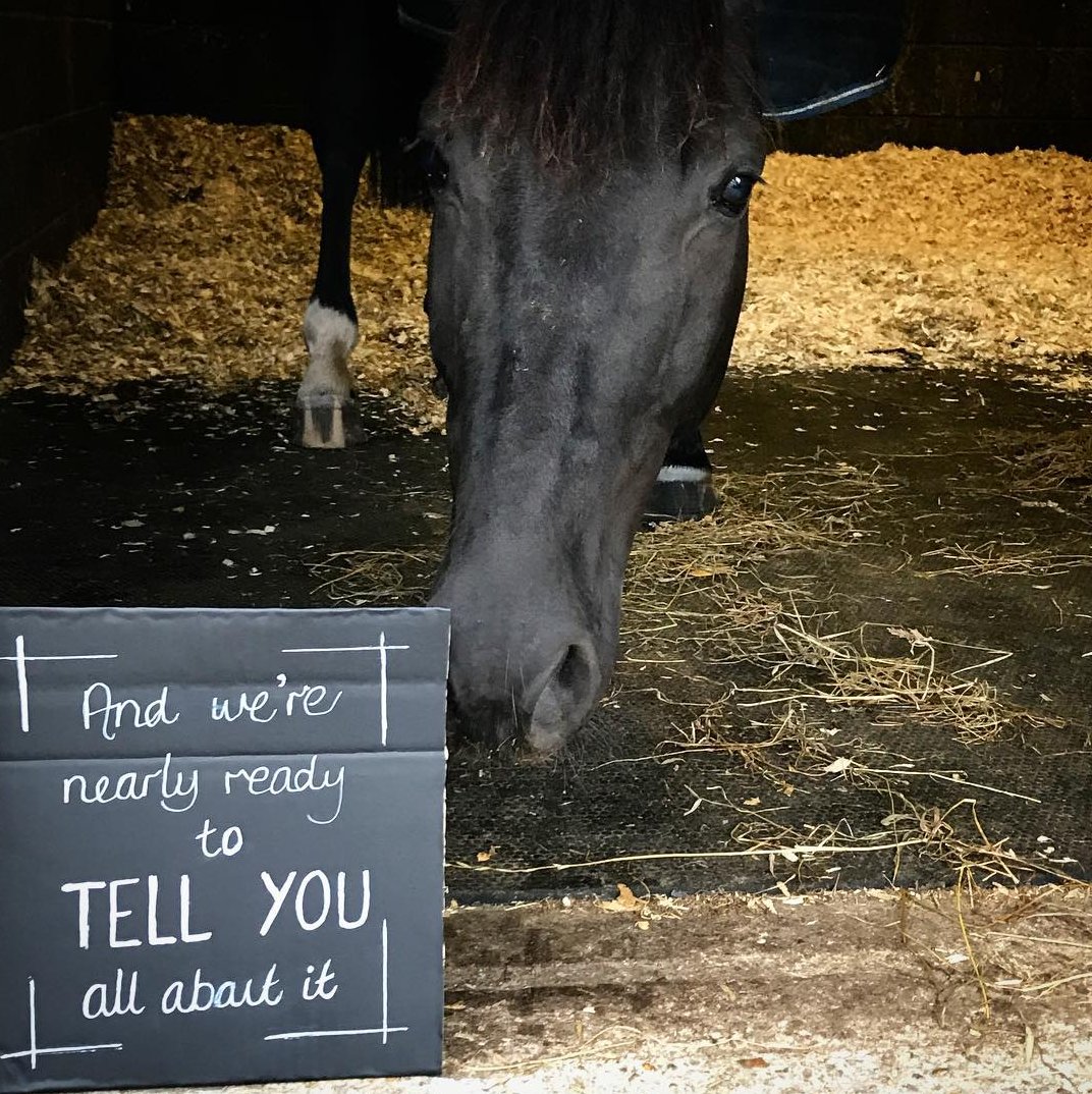 Huff Equestrian tweet media
