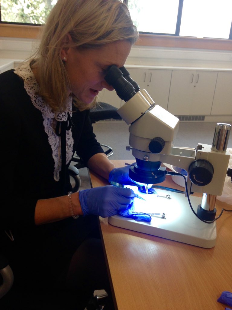 GalwayICAPSS's tweet photo. Scoping out the set up for skills workshop in plastic surgery next week with @shirleypotty #itsgonnabeagoodone #microsurgery https://t.co/gev83fkeNQ
