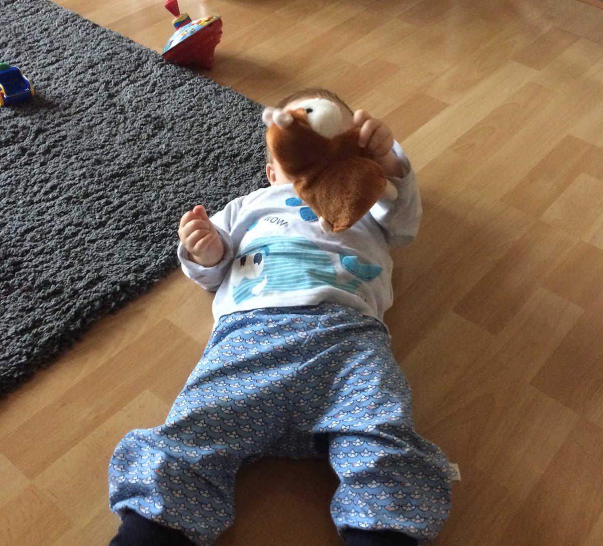 bumb4by's tweet photo. Leckerer @MInkorrekt-Chinagadget-Hamster ist lecker! https://t.co/wG4fKvRIOd