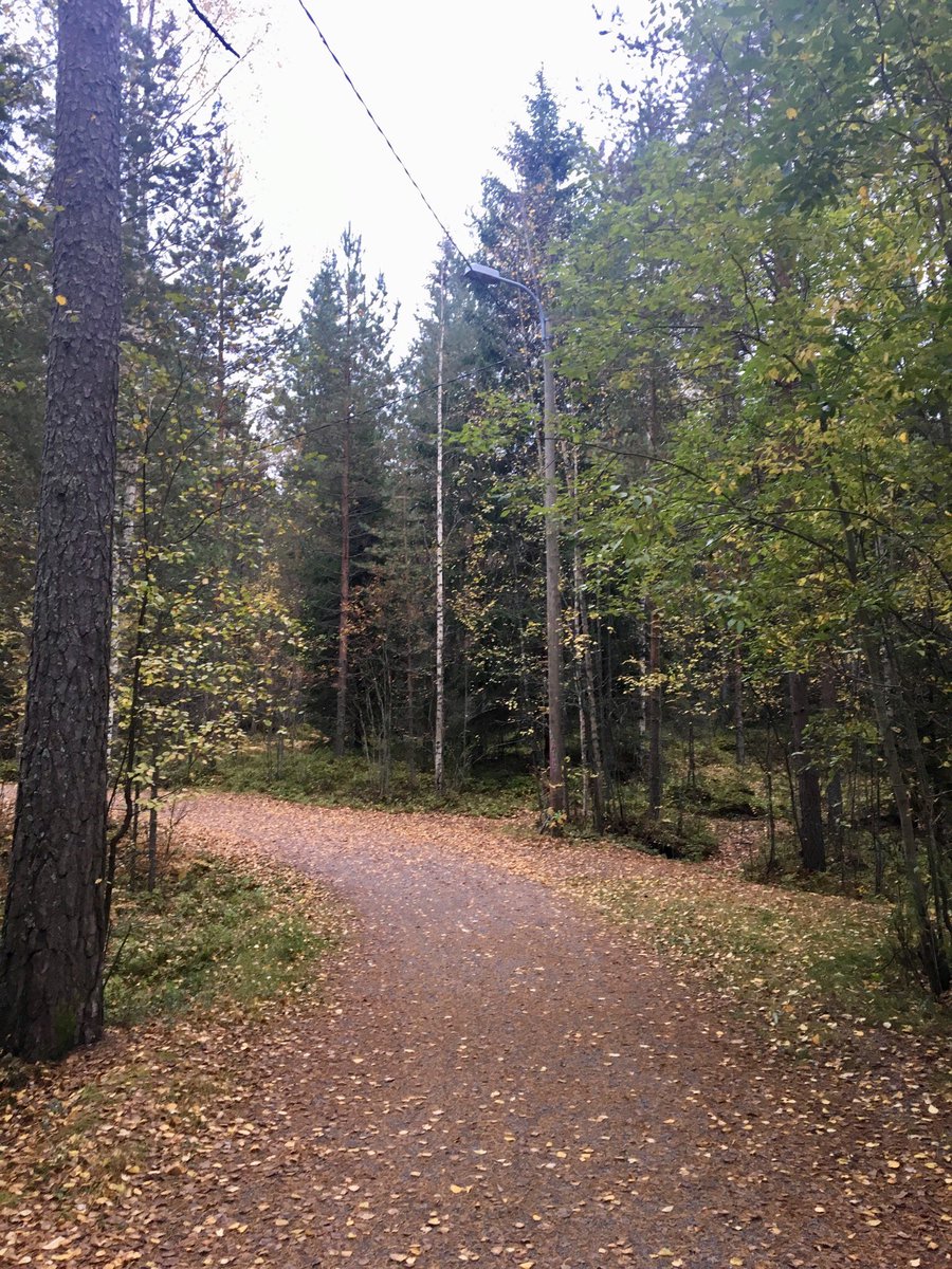szekelyzita's tweet photo. Walking home from work #restingmind #lovewalking #loveautumn #happydeveloper https://t.co/AlonzYt308