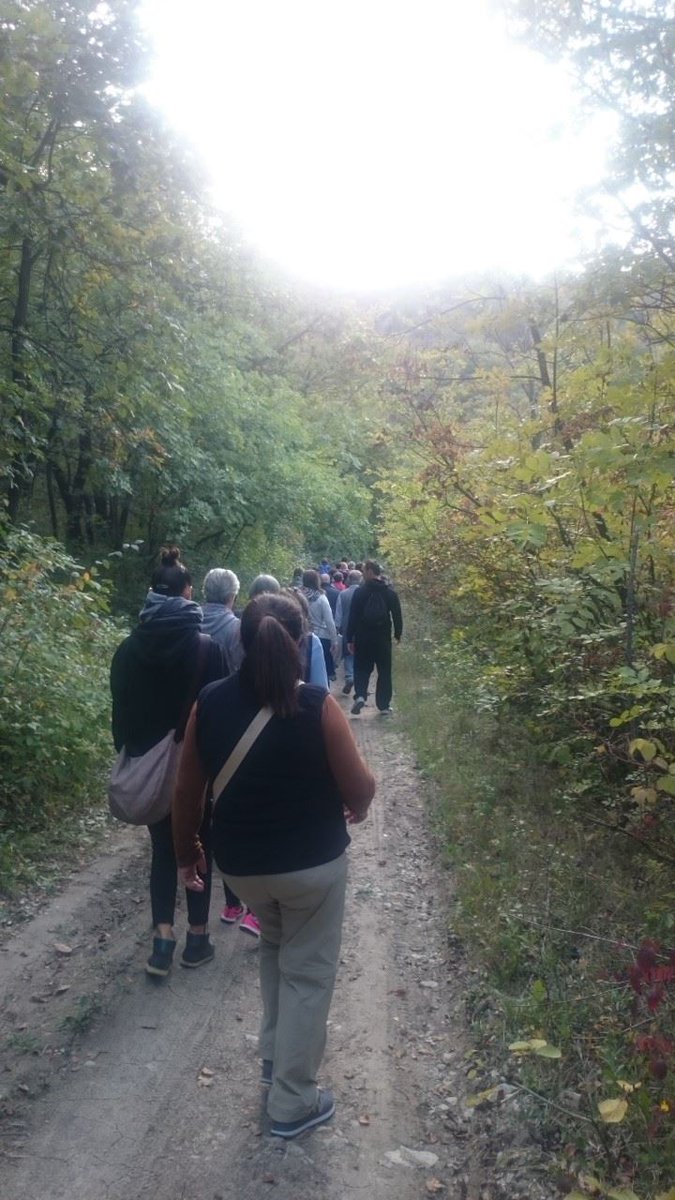 ldp_re's tweet photo. Pomeriggio in @natura e @benessere a Parco di #Roncolo! Grazie #TheButterflyMovement @gazzettaReggioE e a tutti i partecipanti! #lilt https://t.co/01f2iI7DKW