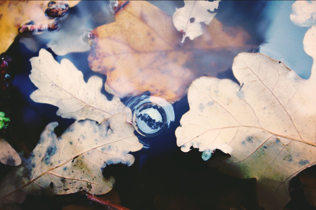 BeeerbelG's tweet image. Welten finden, bevor sie untergehen.