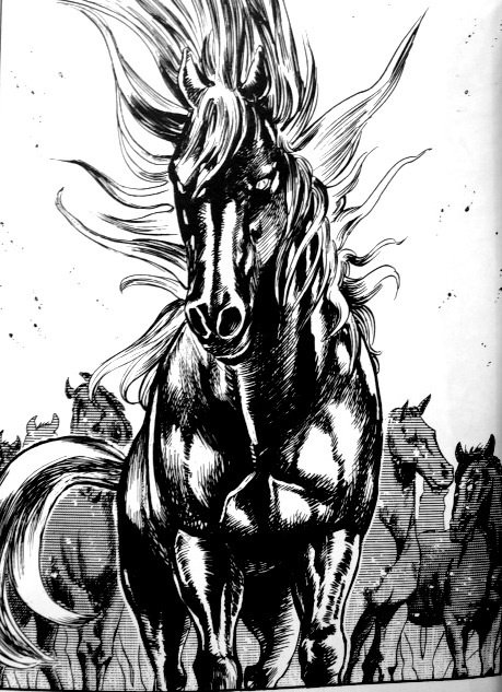 北斗の拳 でラオウが乗ってた黒王号サイズの馬は実在する リアル松風やん ゼルダの巨大馬みたい Togetter
