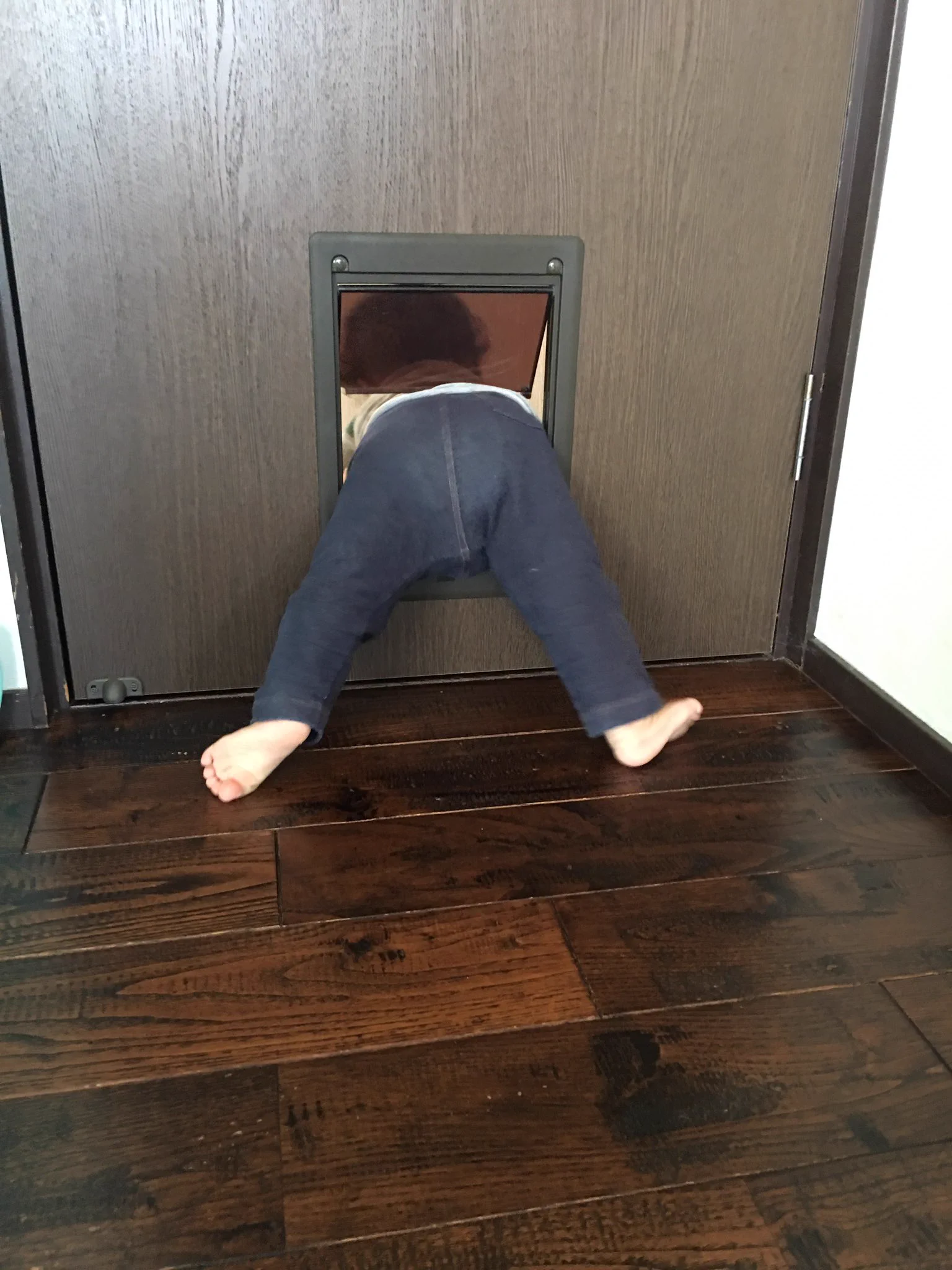 犬や猫だけとが限らないｗペット専用ドアは幼児兼用ドアであるｗｗｗ