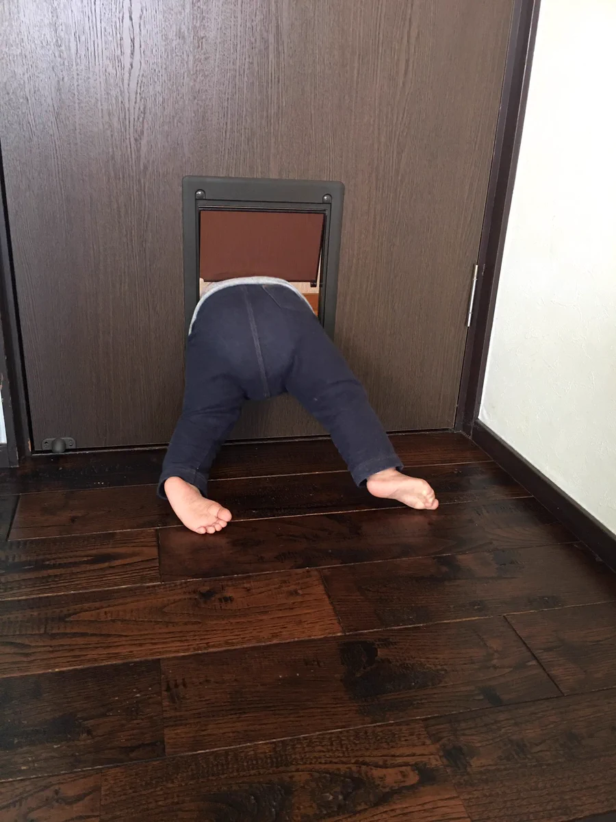 犬や猫だけとが限らないｗペット専用ドアは幼児兼用ドアであるｗｗｗ