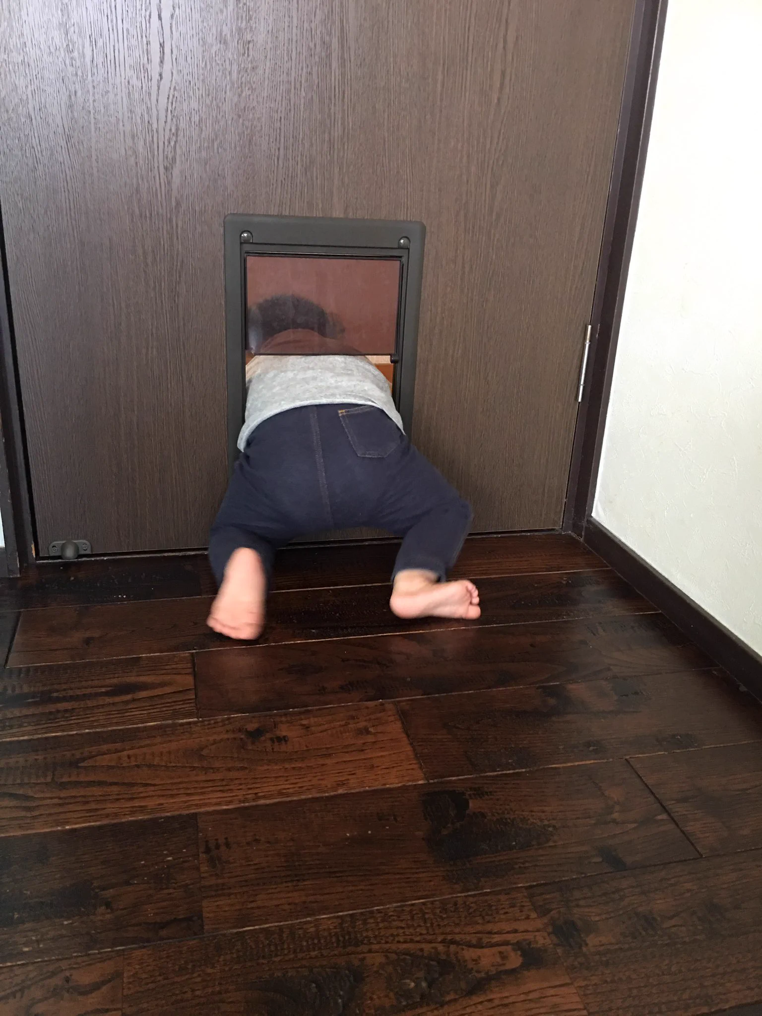 犬や猫だけとが限らないｗペット専用ドアは幼児兼用ドアであるｗｗｗ