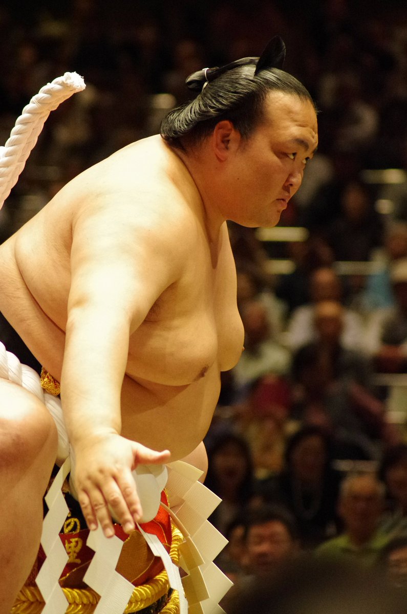 超貴重】日本相撲協会より寄贈 雲竜型横綱 日本相撲協会公式 on X