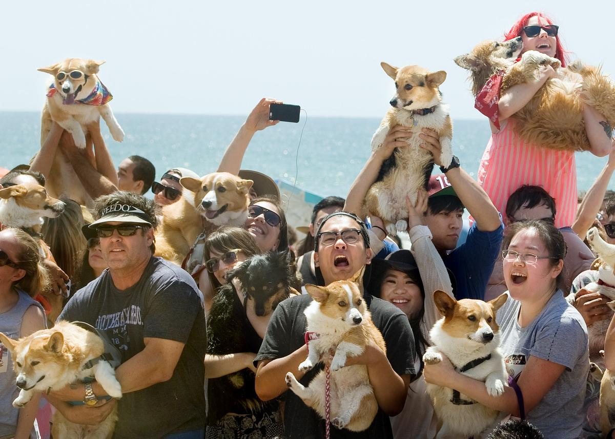 This year we present the Unconference Track. Any attendee can give a technical talk of their choice in a smaller venue on the first floor.