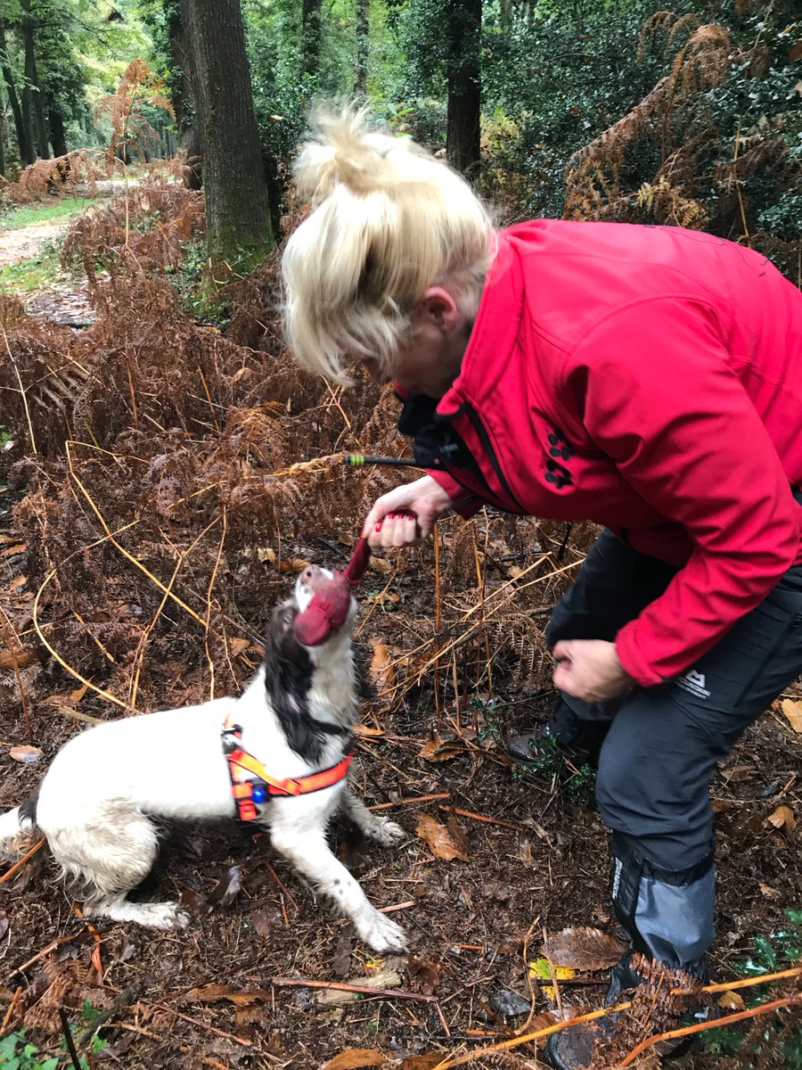 PATDogMilo's tweet photo. Fun day training yesterday with @HSARDogs.  Dad still needs a bit of work but I'm doing OK even with a delayed start.  #FoundThem #MuddyToy https://t.co/JJBtOubK56