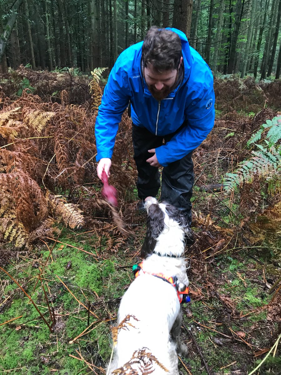 PATDogMilo's tweet photo. Fun day training yesterday with @HSARDogs.  Dad still needs a bit of work but I'm doing OK even with a delayed start.  #FoundThem #MuddyToy https://t.co/JJBtOubK56
