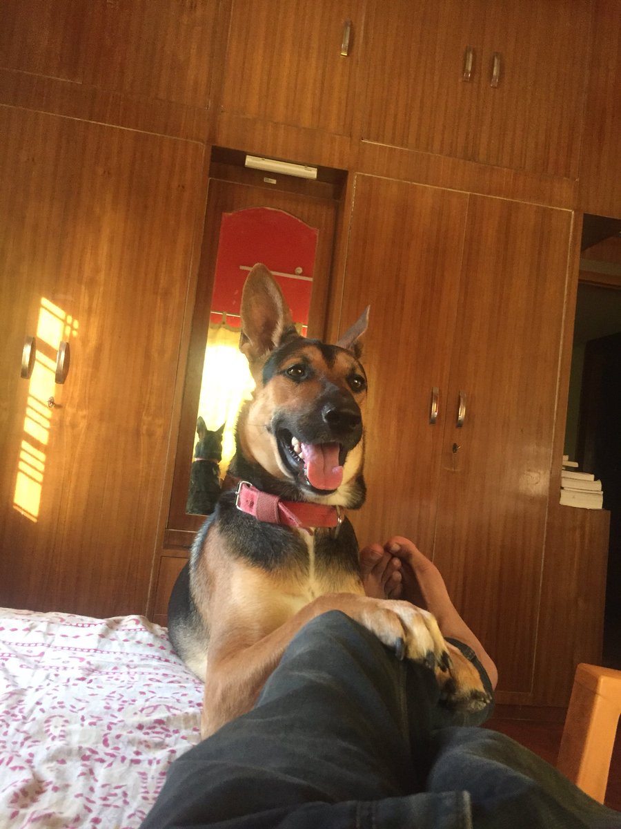 HarmesH009's tweet photo. When u and ur dog in relaxation time https://t.co/3XudzkeRe8