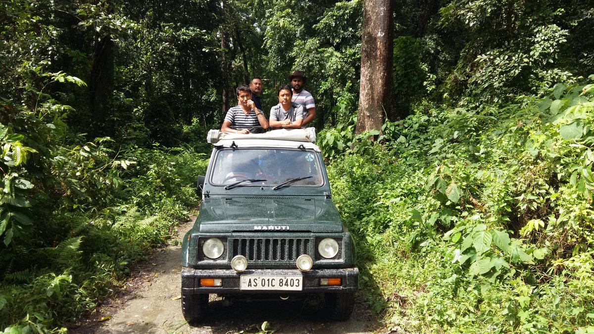 binoydillama's tweet photo. Manas National Park, Assam https://t.co/PZJFw22en5