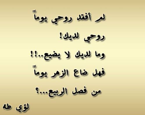 TheDawn74's tweet photo. ما لديكَ لايضيع https://t.co/w5idtorGU7