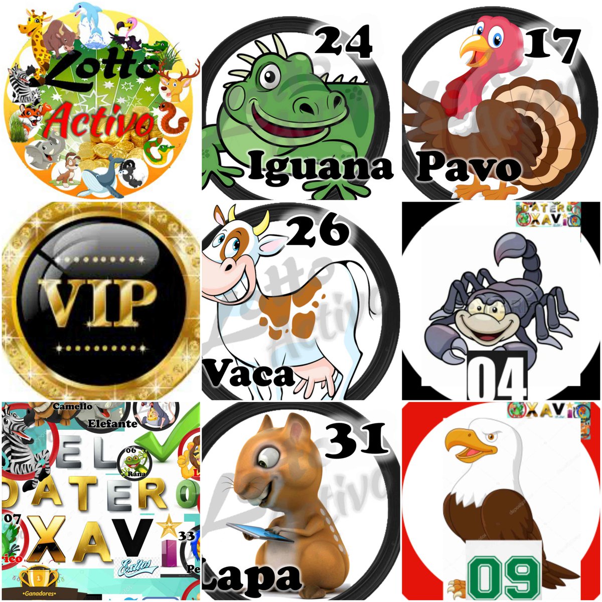 ligadateros2018's tweet photo. #DATAZOSVIP
LUNES 02/10/17:
DIAMANTES:24-17
ORO:26-04
PLATA:31-09
exitos #GanadoresVIP https://t.co/4iAmeasc7h