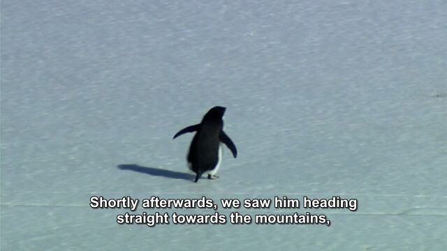 philsadelphia's tweet photo. me when i embarrass myself https://t.co/E6hKt3na8p