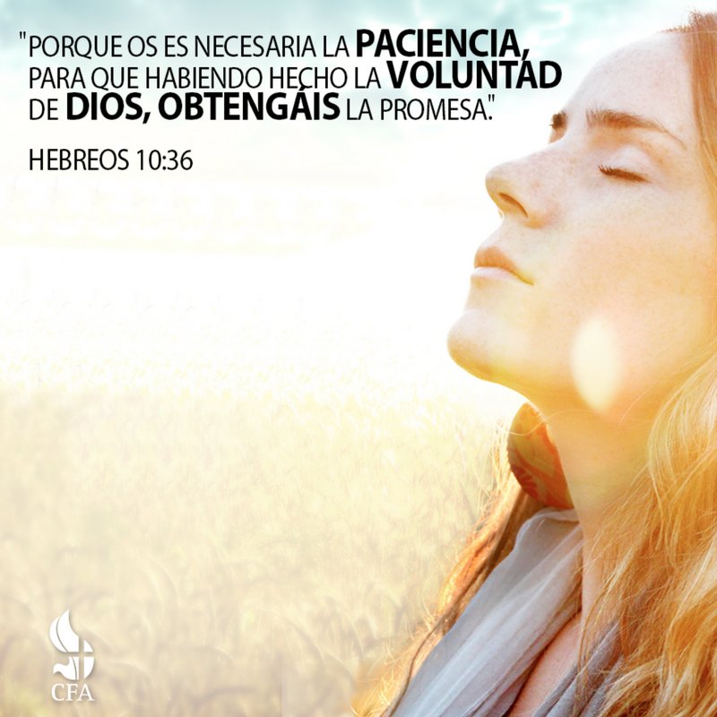 IglesiaCFA's tweet photo. Quien tiene fe no desespera, espera. ¡No te impacientes! # Hebreos 10:36. https://t.co/DBpyX65kOg