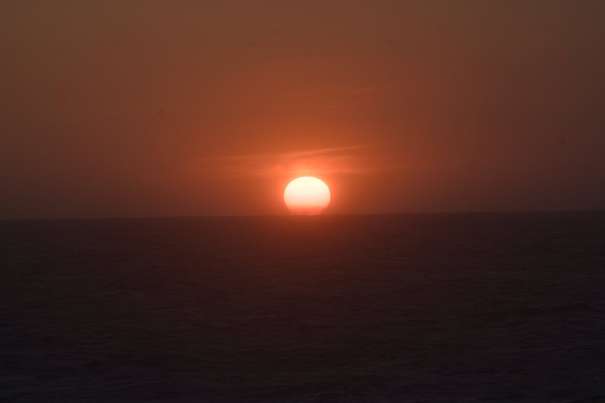 funelog's tweet photo. フェリーの展望デッキ 🛳🌅
展望デッキではとても綺麗な夕陽を眺めることが出来ました 😌🌿 強風のためデッキで見ることは出来ませんでしたが、朝日が昇る瞬間をフェリーの窓から見ることができ、朝からとても幸せな気分でした 🌞！ #さんふらわあ #船旅 #船ろぐ https://t.co/aBosFONZoD