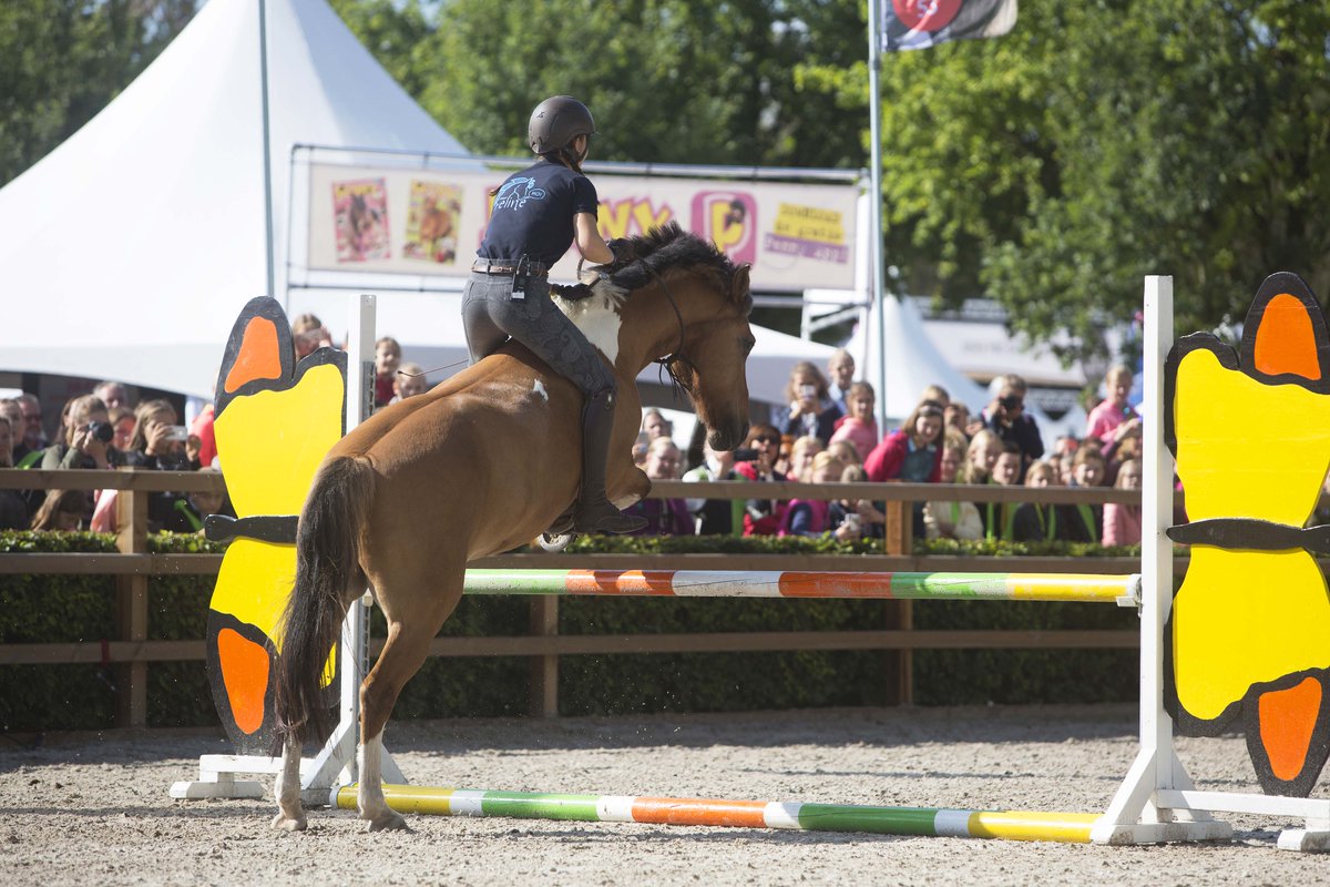 Feline de Jonge en superpony Marley groot succes op Horse Event 2017! ow.ly/XuOy30fzcrP #horseevent #felinehoi #felinedejonge