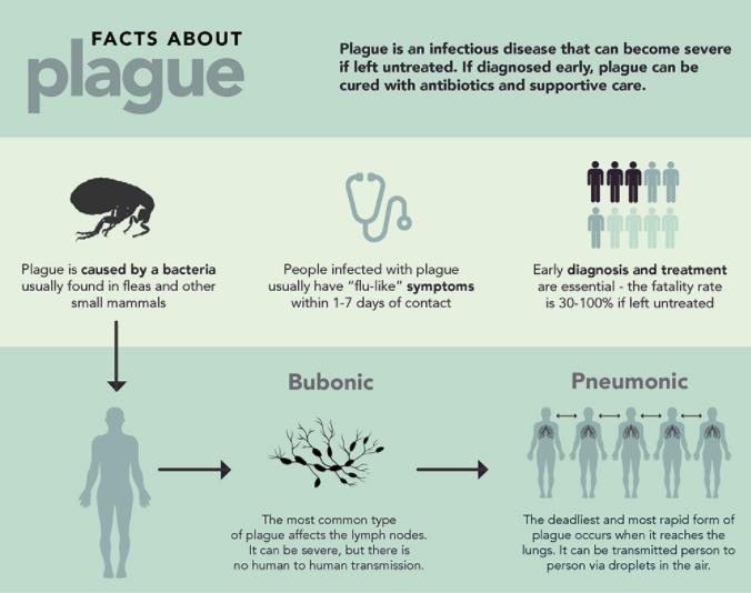 WHO's tweet photo. What is #plague?
Plague is caused by the bacteria Yersinia pestis, usually found in small mammals and their fleas https://t.co/fGplUSKC9p https://t.co/VzeiIQ47KS