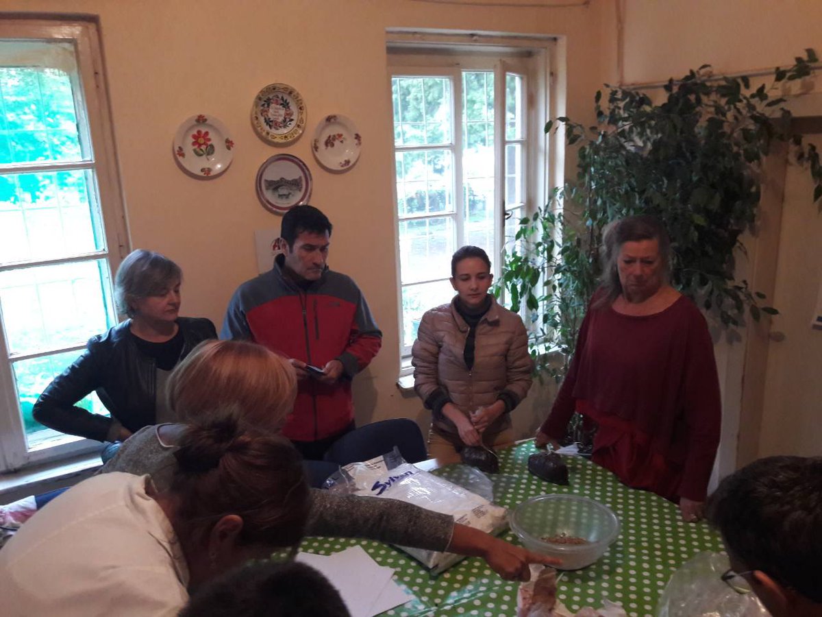 Few more pictures from the Ekofungischool 😀