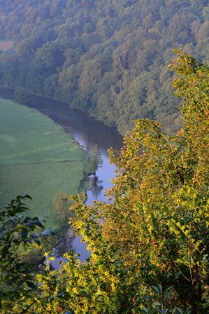 TourismArdennes's tweet photo. L’#automne 🍂 est là avec ses #couleurs. Profitez-en pour faire de belles #balades 👣 dans les #Ardennes https://t.co/XKWwoSnzZX https://t.co/u0uP8LGHZ8