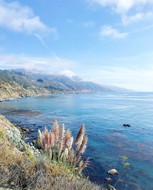 AutonomousTent's tweet photo. mini-moon cocoon ✨ | Whitney Yang | Congrats Whitney + David!! (TY for sharing your #honeymoon photos) #autonomoustentlife #bigsur #glamping https://t.co/XifIfzgz9H