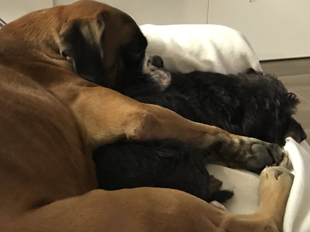 D4Image's tweet image. Like brothers!