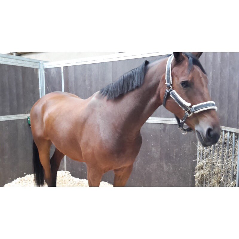 qbrookstables tweet picture