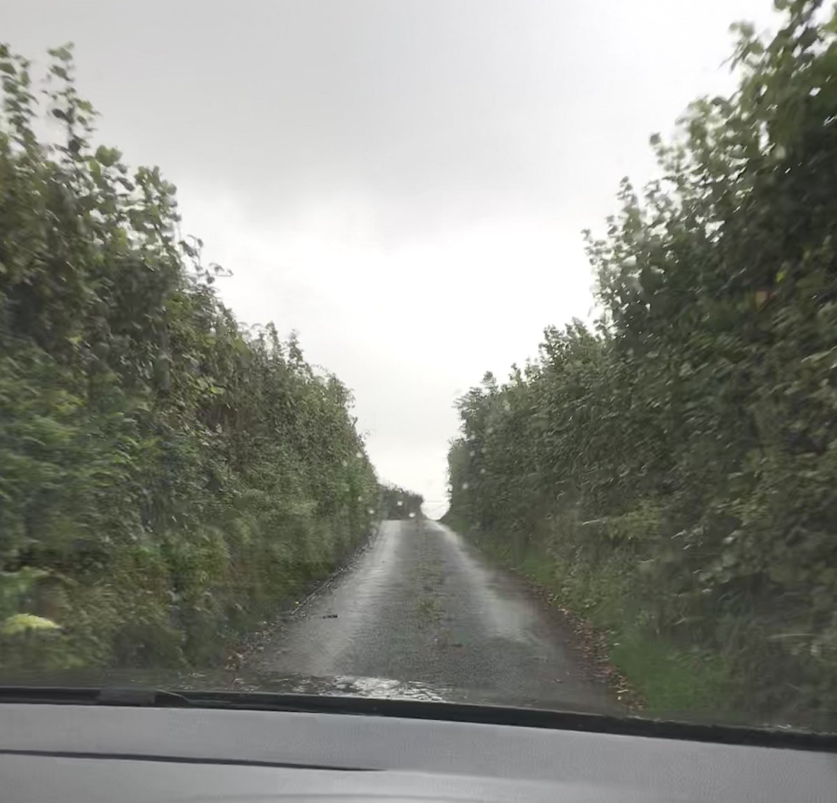 Ashlea_WBCC's tweet photo. I can totally understand why some of our guests don’t like the roads around here #devonroads #visitdevon #woodfordbbridge #countryside 🍃 https://t.co/3kNCjJUUMh