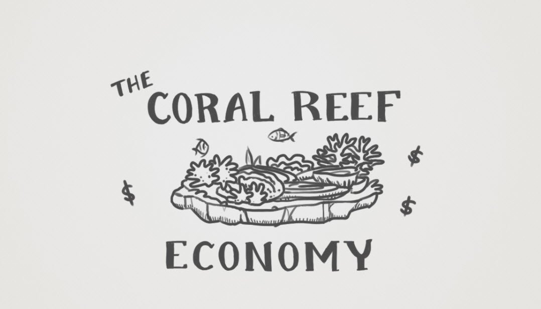 NOAACoral's tweet photo. Learn more about the #coralreef economy in this quick video: https://t.co/qqLyv8xL4U https://t.co/8FRHaUOJd3