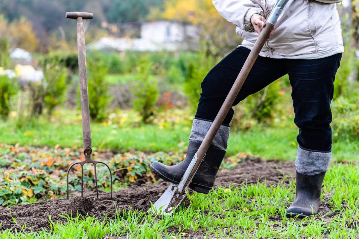 On #WorldHabitatDay, learn to do your fall garden cleanup in a way that protects #Ontario’s wild bees: LetItBee.com #LetItBee2017