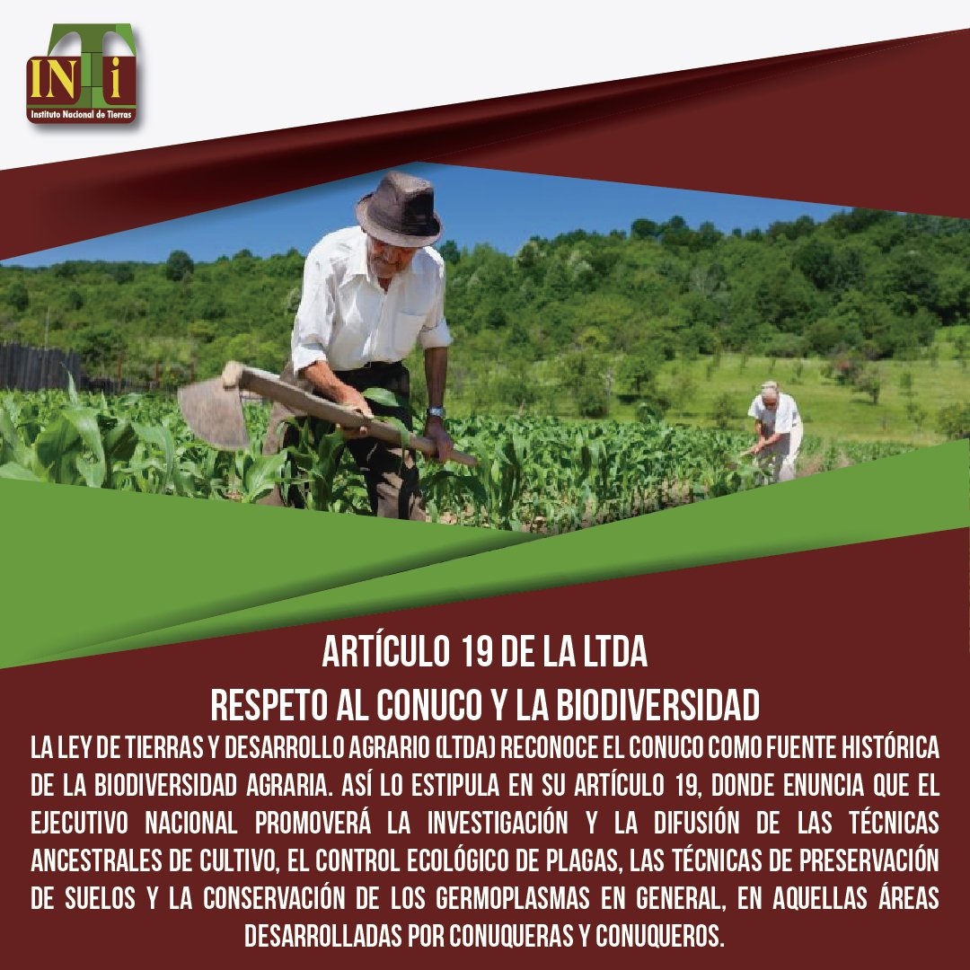INTi_Venezuela's tweet photo. #INTiInforma ¿Por qué la LTDA reconoce al conuco como fuente histórica de la biodiversidad agraria? #MásFamiliasConVivienda @NicolasMaduro @wcastroPSUV @LuiSoteldoPapel #ÚneteASembrarLaPatria https://t.co/6x2qhxOZSu
